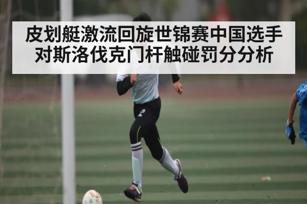 皮划艇激流回旋世锦赛中国选手对斯洛伐克门杆触碰罚分分析